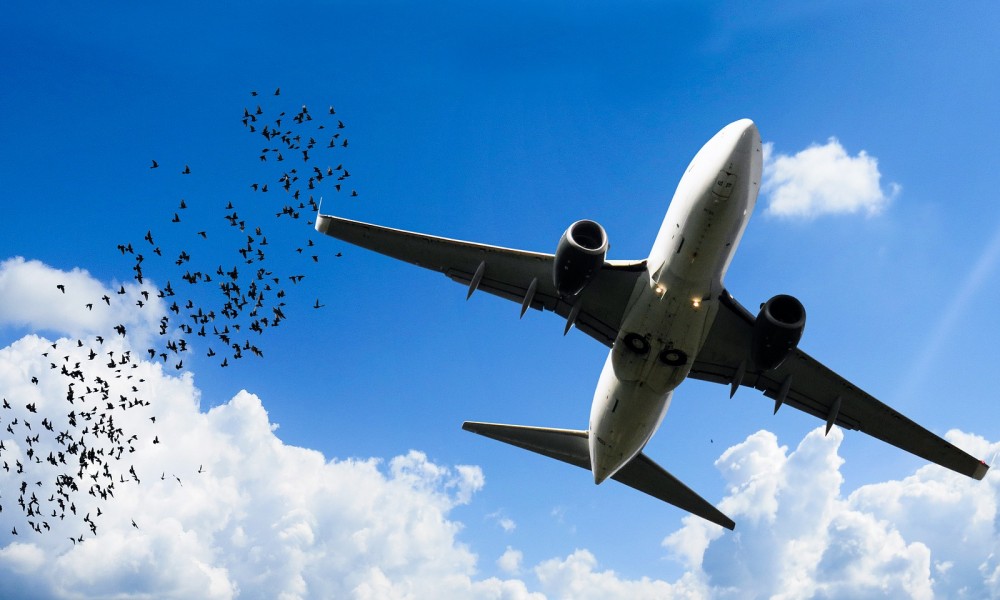 condannata Ryanair per volo in ritardo condannata Ryanair per volo in ritardo