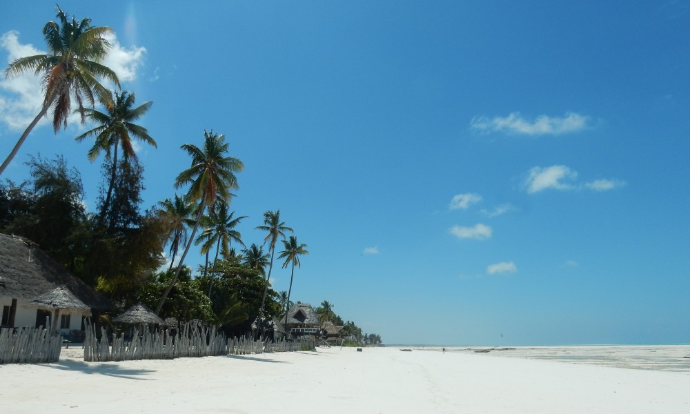 ritardo volo Verona Zanzibar Neos ritardo volo Verona Zanzibar Neos