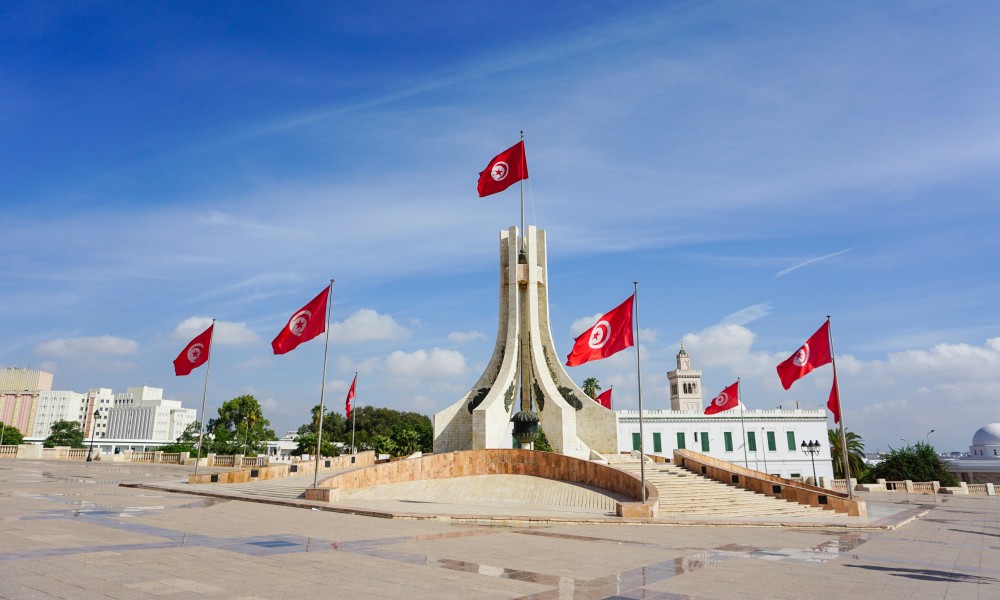 volo in ritardo milano tunisi