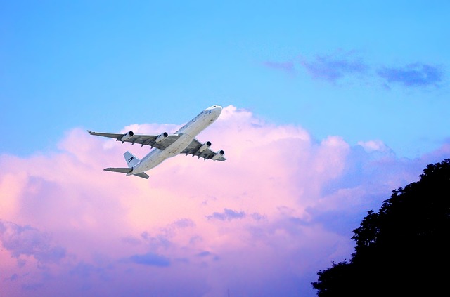 Reclamo voli Ryanair Reclamo voli Ryanair
